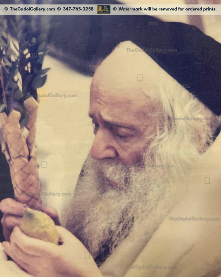The Klausenburger Rebbe -1- האדמו"ר מקלויזנבורג