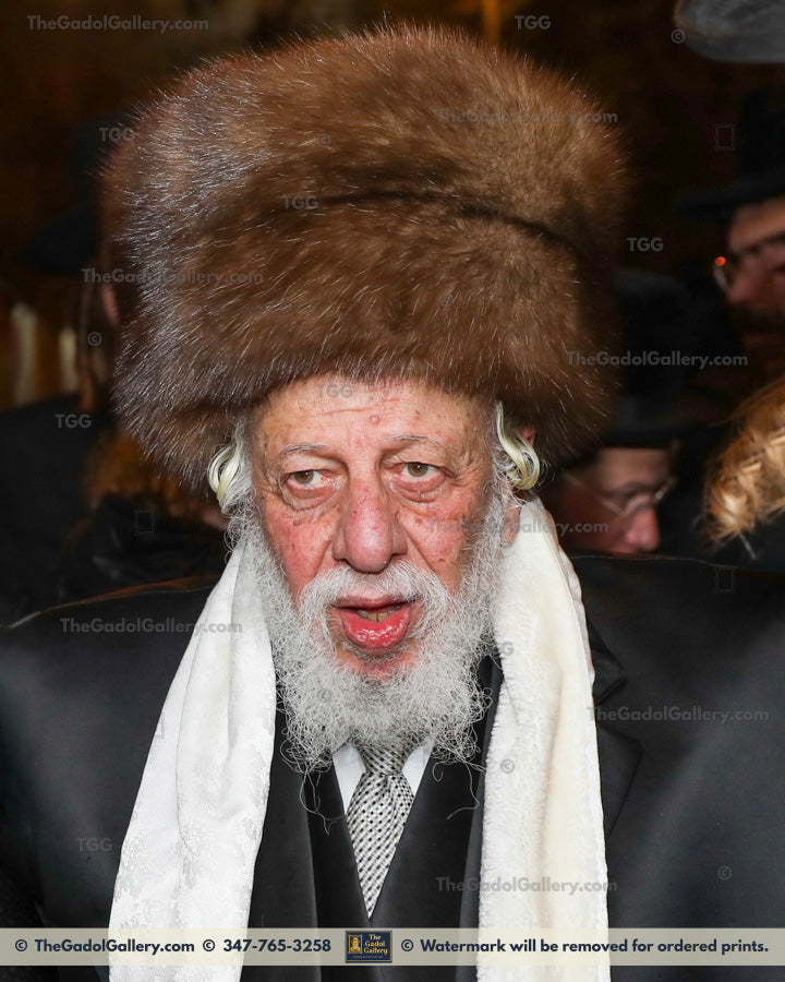 The Kopyczynitzer Rebbe-2- האדמו"ר מקופיטשניץ