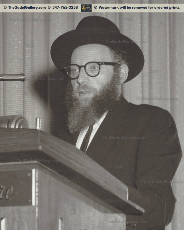 Rav Shneur Kotler - רב שניאור קוטלר