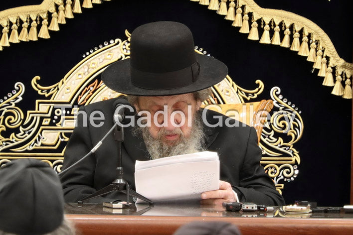 Rav Dov Landau - רב דוב לנדאו