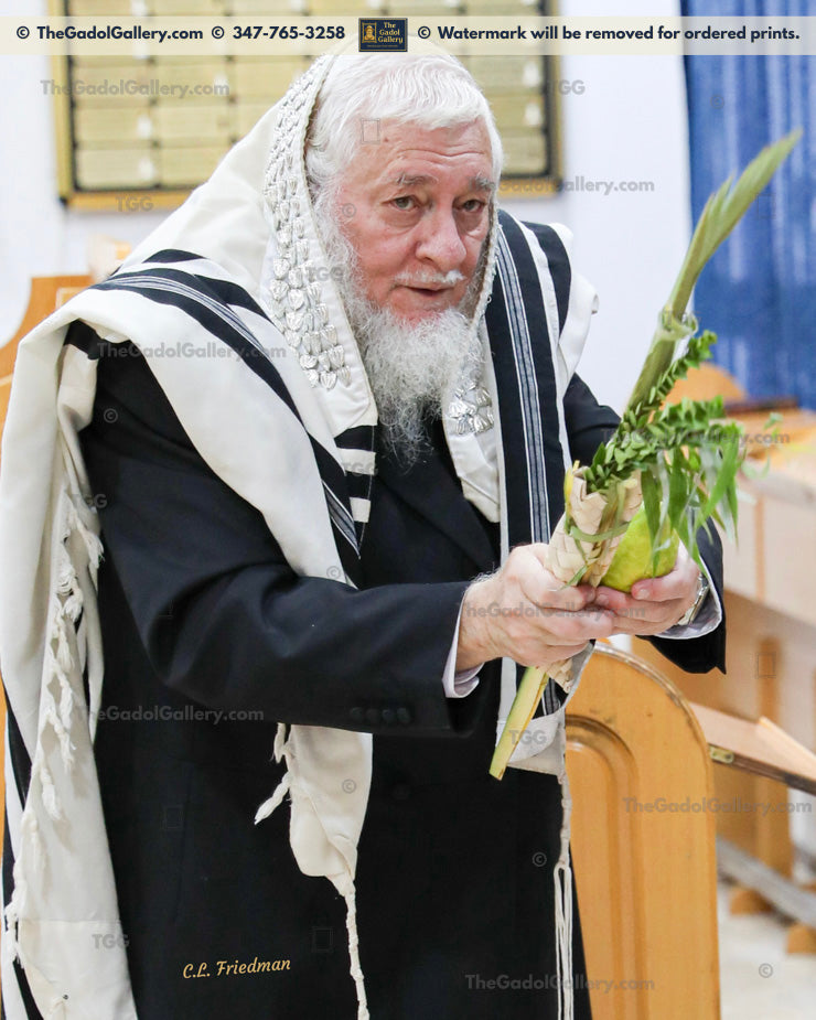 Rav Zev Leff - 2