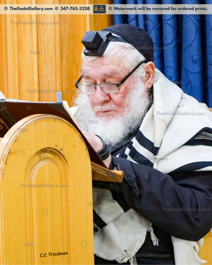 Rav Zev Leff - 3