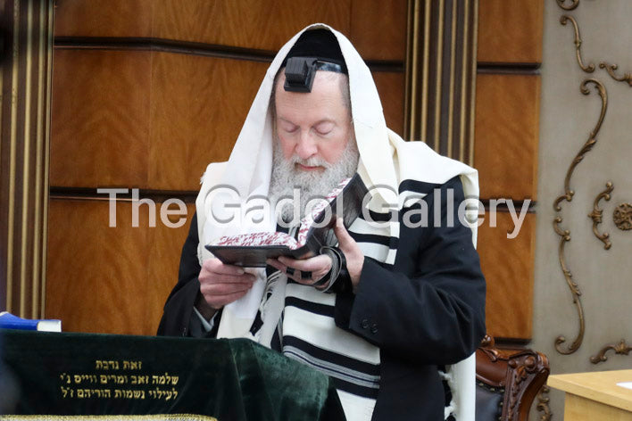 Rav Moshe Tuvia Lieff - 1