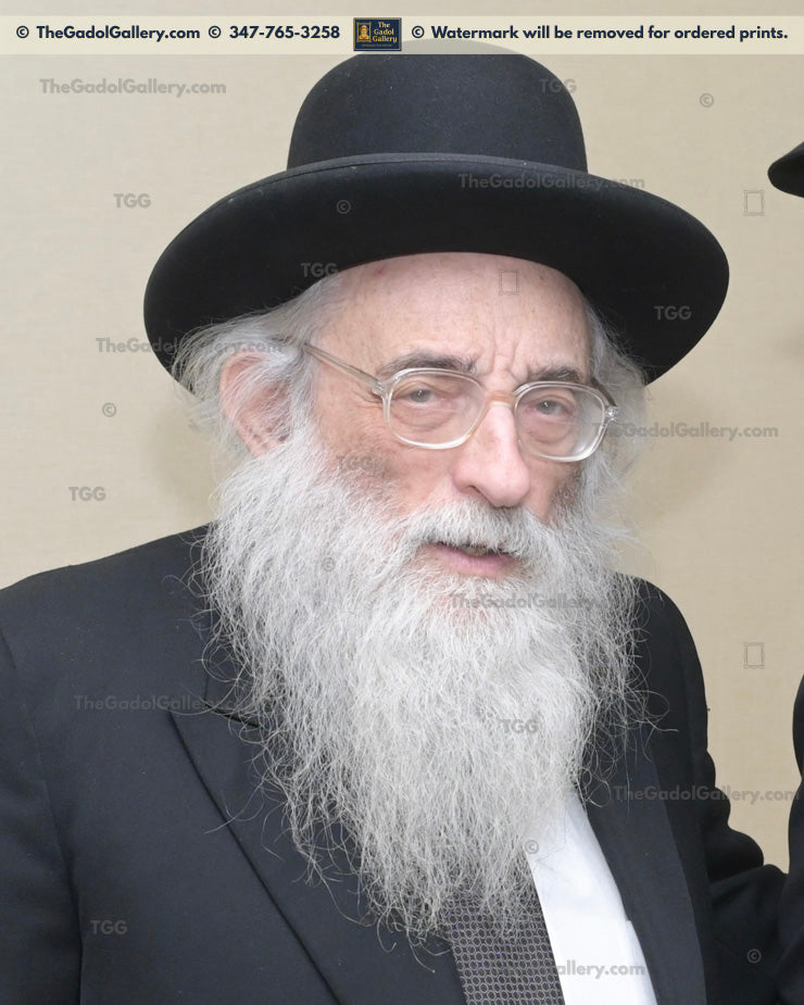 Rav Moshe Meiselman - 1