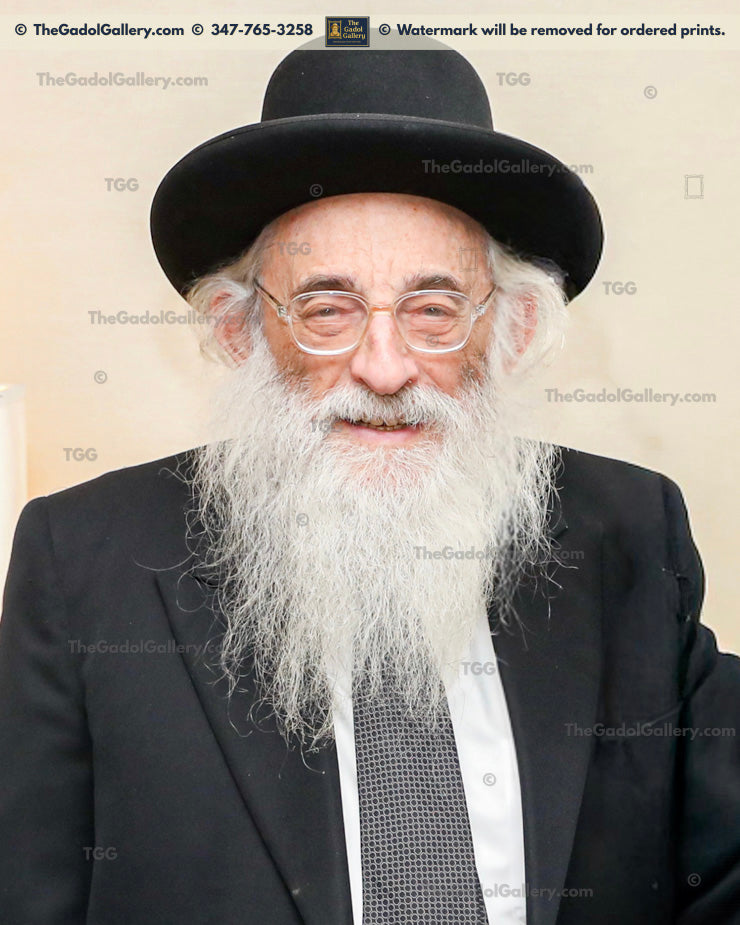 Rav Moshe Meiselman - 2