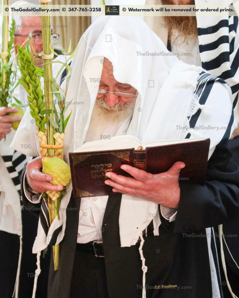 Rav Avigdor Nebenzahl 2