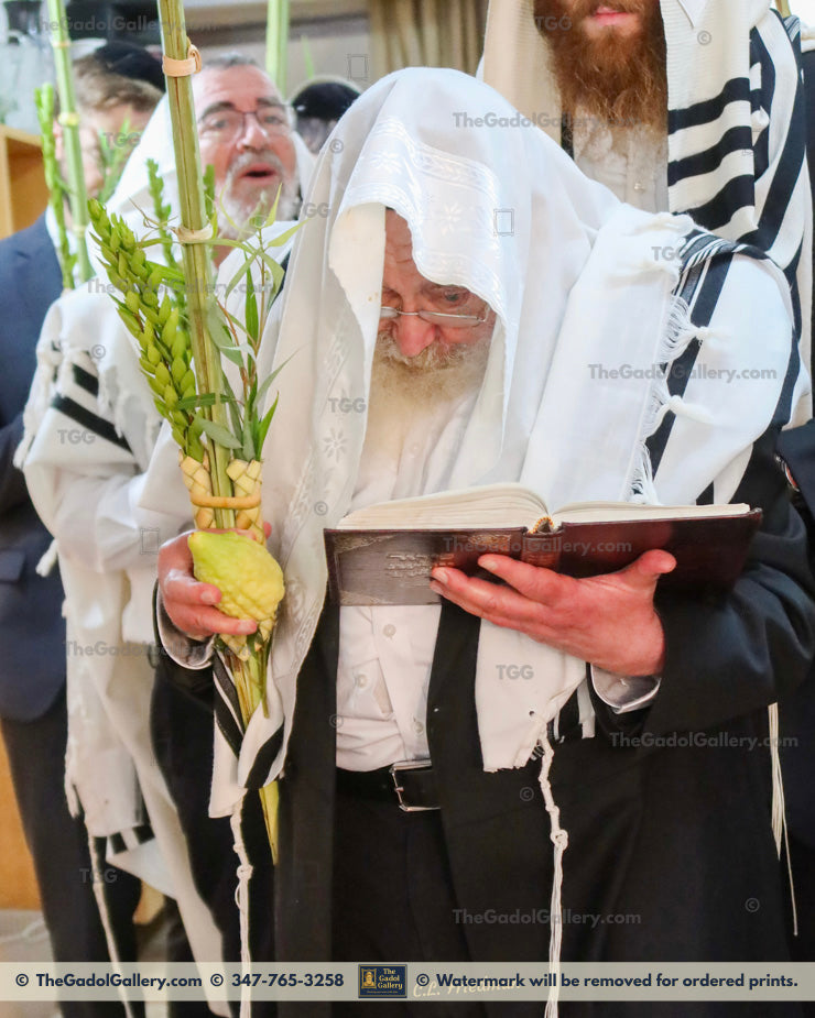 Rav Avigdor Nebenzahl 2a
