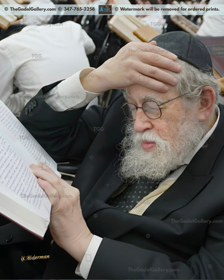 Rav Yisroel Neuman -2- רב ישראל צבי נוימן
