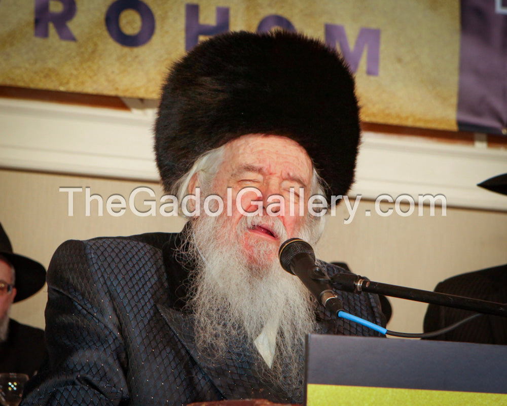 Rav Yakov Perlow - Novominsker Rebbe - הרב יעקב פרלוב