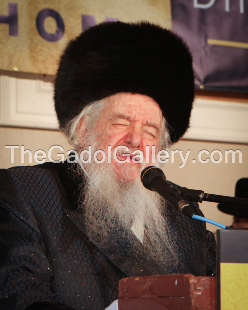 Rav Yakov Perlow - Novominsker Rebbe -3- הרב יעקב פרלוב