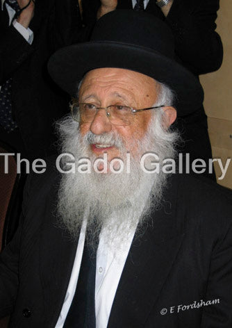 Rav Berel Povarsky -1- רב ברוך דוב (בערל) פאווארסקי Sukkah Poster