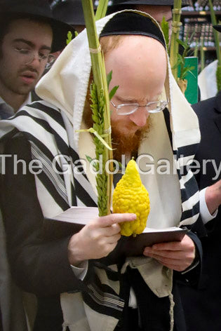 Rav Shlomo Praeger - 2 - Sukkos