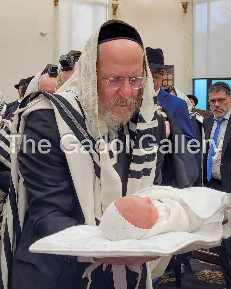 Rav Avrohom Lefkowitz Sukkah Poster