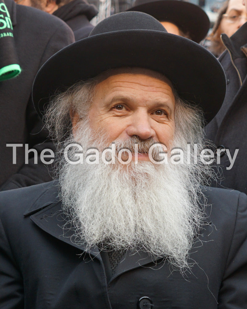 Rav Dovid Schustal 1 - רב דוד שוסטל
