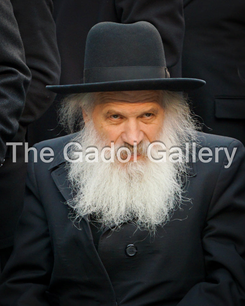 Rav Dovid Schustal 1 - רב דוד שוסטל
