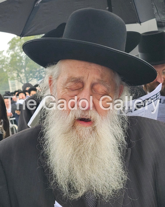 Rav Elya Ber Wachtfogel - רב אלי' בער וכטפוגל