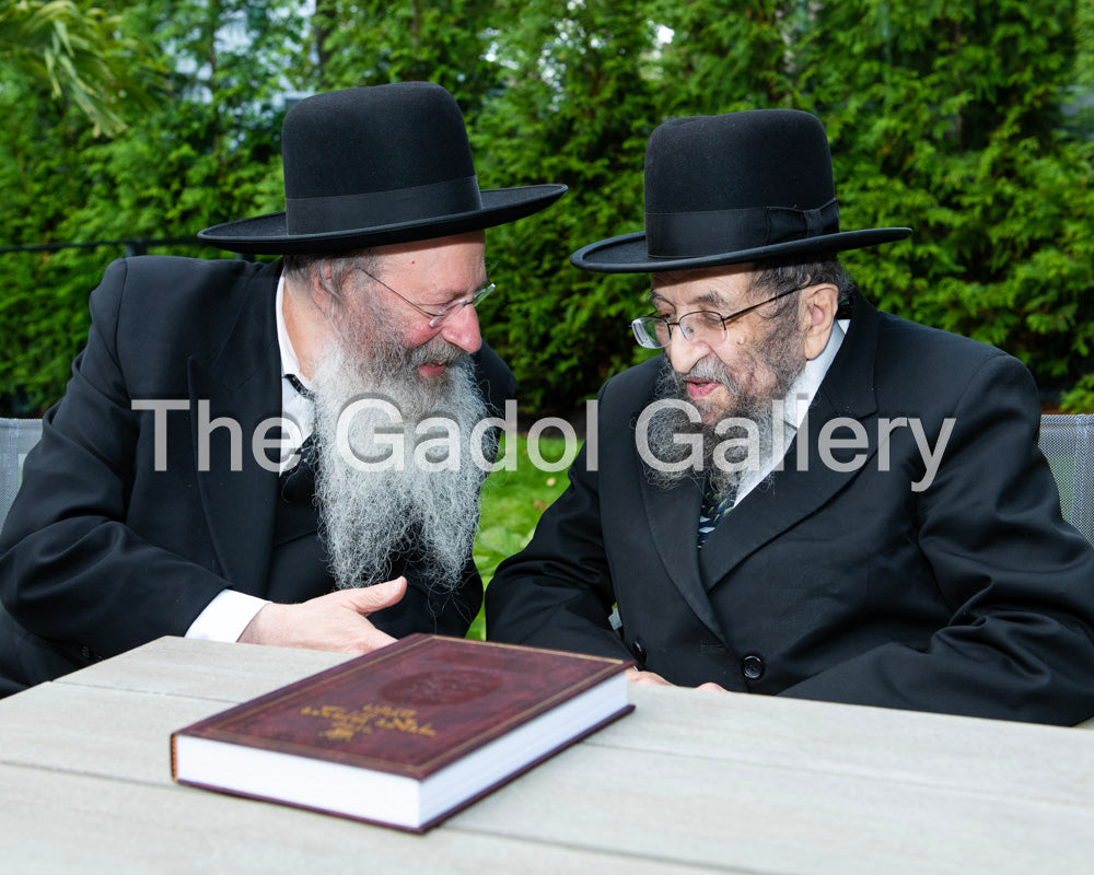 Rav Shmuel Kaminetzsky and Rav Malkiel Kotler Sukkah Poster