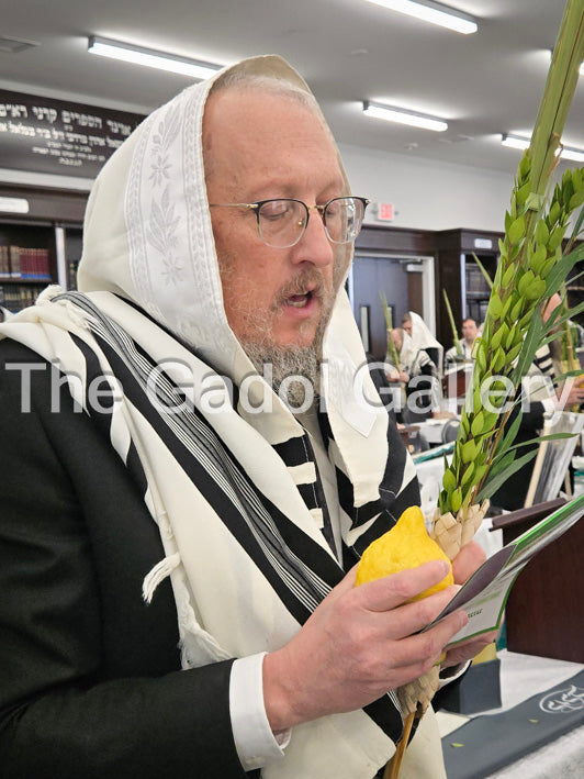 Rav Shraga Sender - 2 Lulav & Esrog