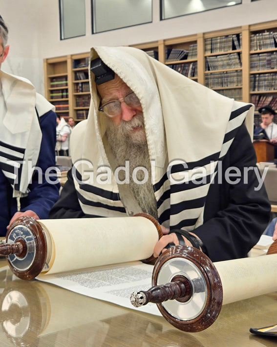Rav Yerucham Olshin -Sefer Torah- רב ירוחם אלשין