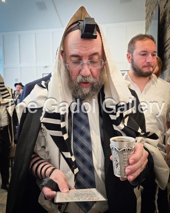 Rav Yosaif Asher Weiss - רב יוסף אשר ווייס