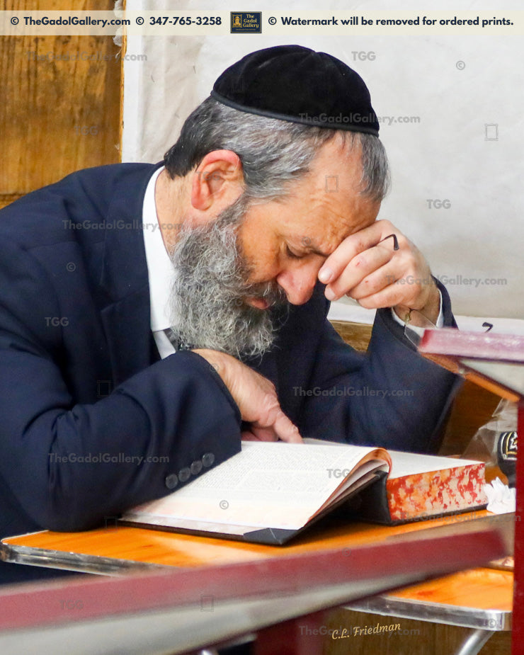 Rav Yehuda Rohr - 1
