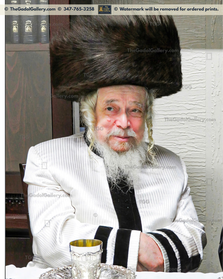 Rav Zeyda Rosenbaum, Kretchnif-Sigeter Rebbe -2- האדמו"ר מקרעטשניף-סיגעט