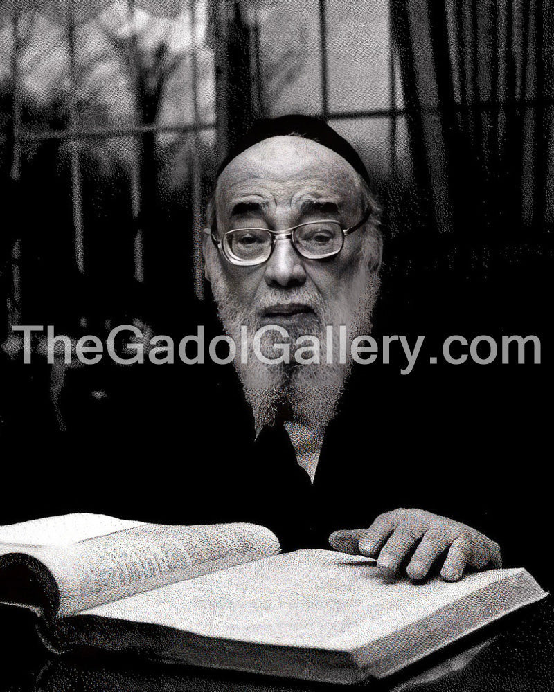 Rav Yaakov Yitzchok Ruderman - 1 Sukkah Poster