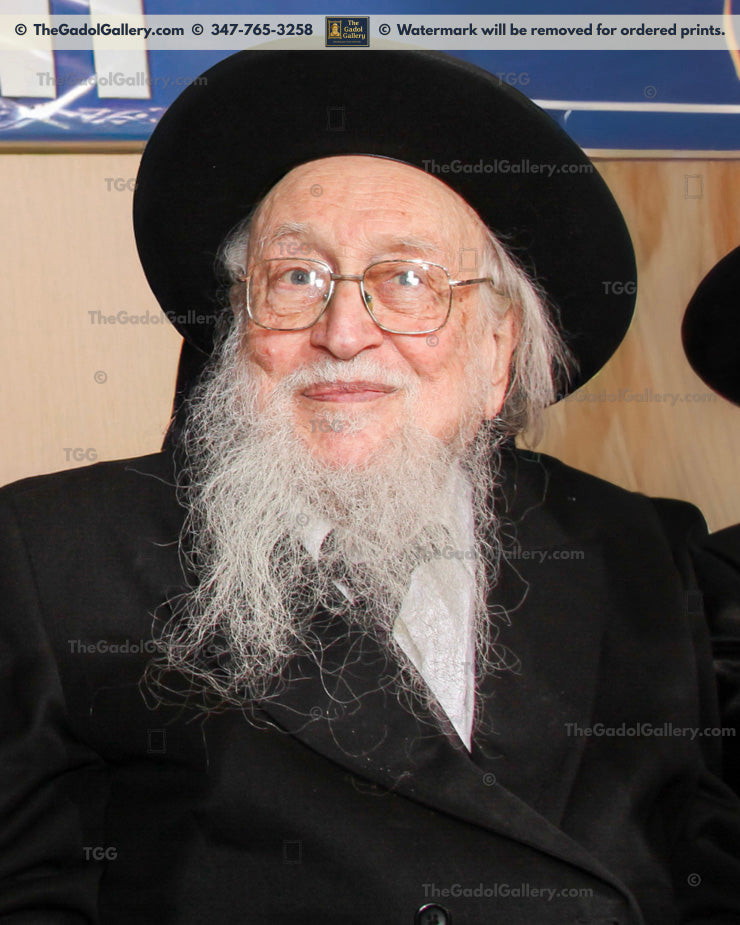 Rav Yitzchok Scheiner - 4 (2)