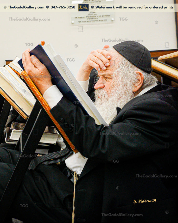 Rav Dovid Schustal 3 - רב דוד שוסטל