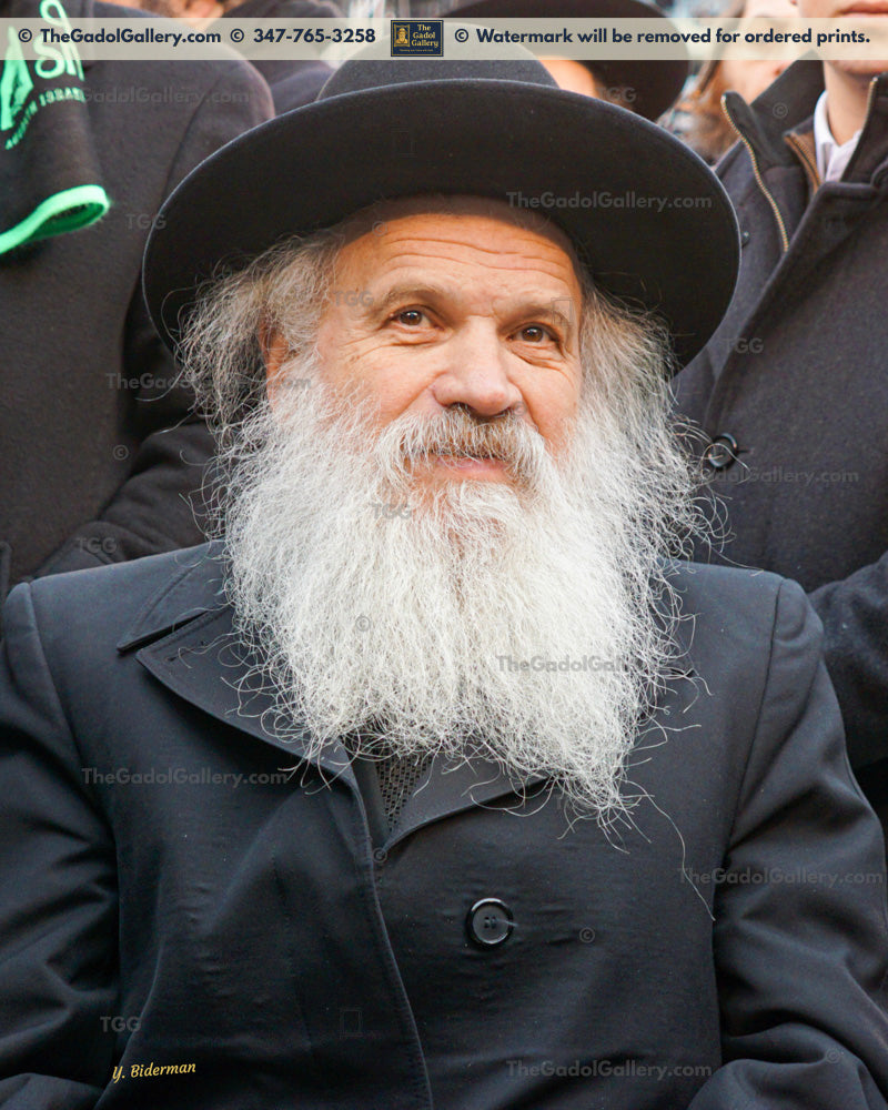 Rav Dovid Schustal -1- רב דוד שוסטל