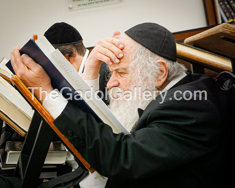 Rav Dovid Schustal 3 - רב דוד שוסטל
