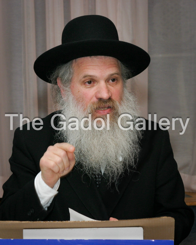 Rav Dovid Schustal 1 - רב דוד שוסטל