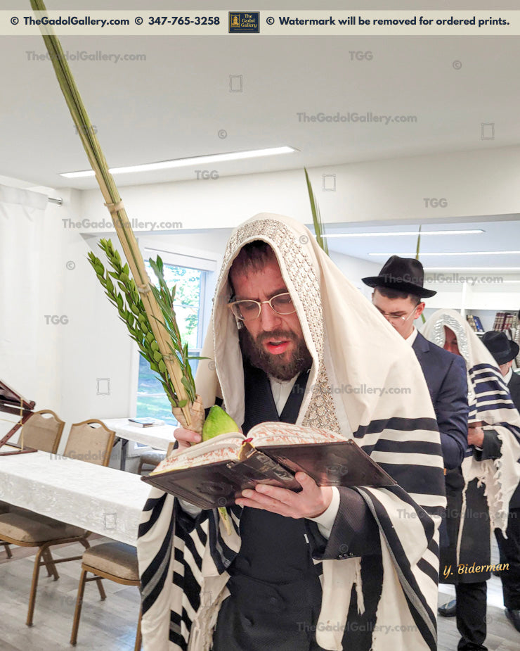 Rav Heshy Schwartz - 3 - Lulav & Esrog