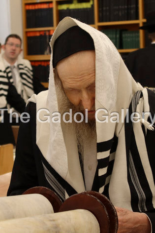 Rav Don Segal - רב דן סגל