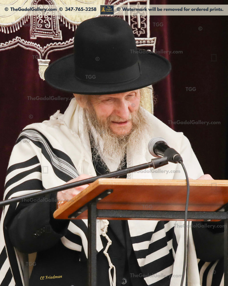 Rav Don Segal -6- רב דן סגל