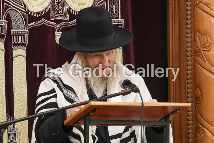 Rav Don Segal - רב דן סגל