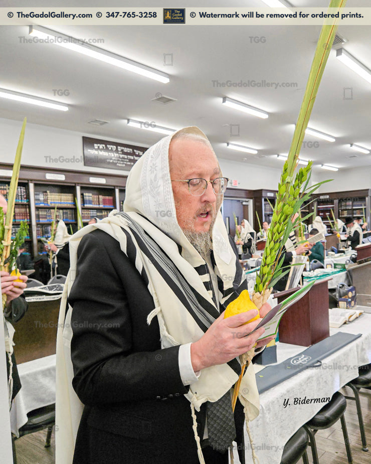 Rav Shraga Sender - 2 Lulav & Esrog