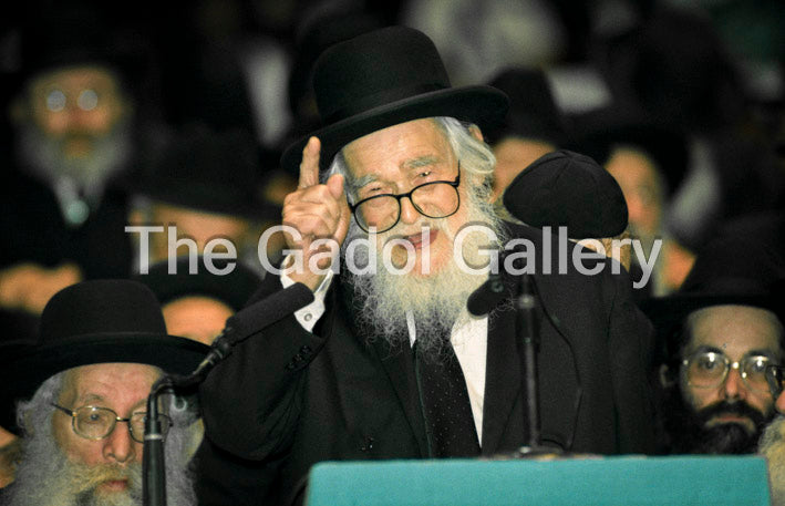 Rav Eliezer Menachem Mann Shach - רב אלעזר מנחם מן שך