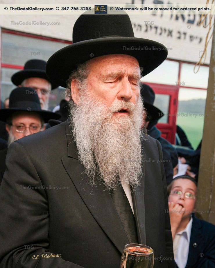Rav Moshe Shapiro - 2