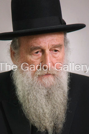 Rav Moshe Shapiro - 1
