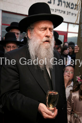 Rav Moshe Shapiro
