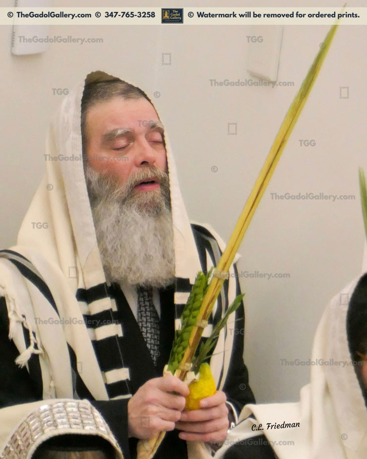 Rav Mordechai Zelig Shechter Lulav