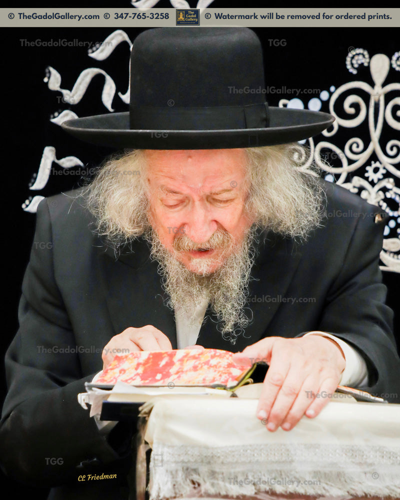 Rav Zevulun Shub - 1 - רב זבולון שוב