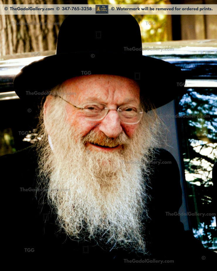 Rav Mattisyahu Salomon -1- רב מתתיהו חיים סולומן