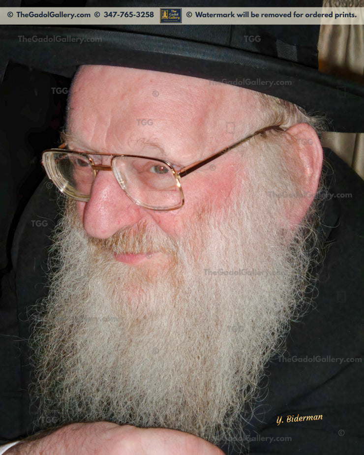 Rav Mattisyahu Salomon -4- רב מתתיהו חיים סולומן