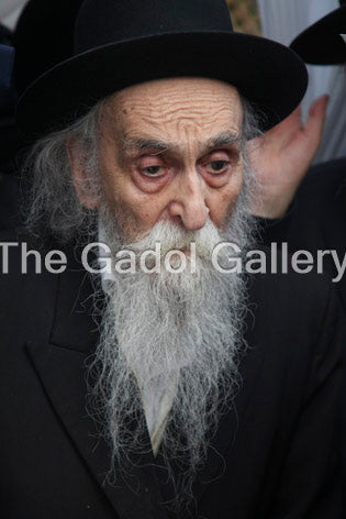 Rav Dovid Soloveitchik - רב דוד סאלאווייציק
