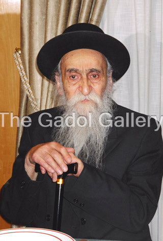 Rav Dovid Soloveitchik - רב דוד סאלאווייציק