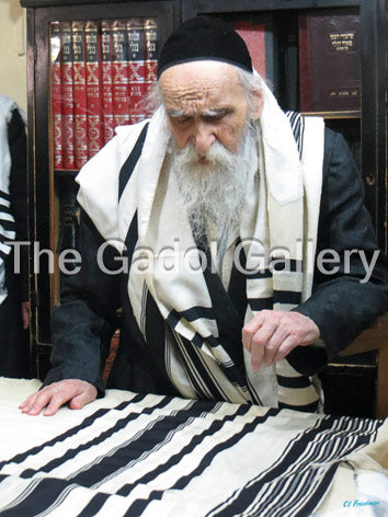 Rav Dovid Soloveitchik - רב דוד סאלאווייציק