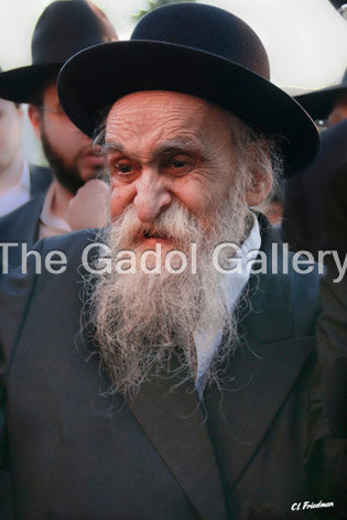 Rav Dovid Soloveitchik - רב דוד סאלאווייציק