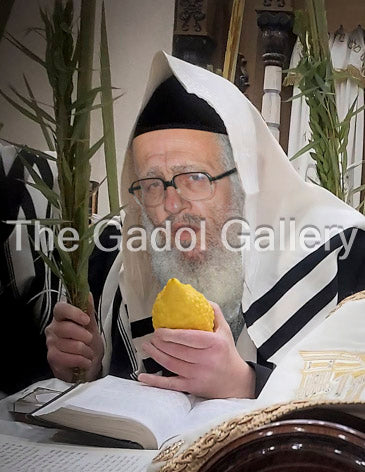 Rav Moishele Soloveitchik - רב משה (משעלע) סאלאווייציק
